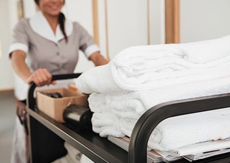 Housecleaning and Housekeeping
